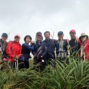 샘물상회 이미지