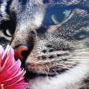 지혜의 샘 이미지