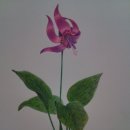 보타니컬아트 (초급) 이미지