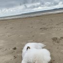 세븐일레븐 포항항구점 이미지