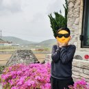 길안천 돌담집 이미지