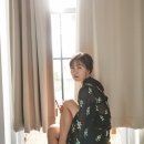 인디케이 이미지