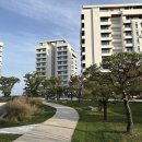 헤븐하우스 | 안산 대부도 더헤븐리조트 조식 (글라스하우스/인룸조식)