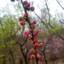 성남시립식물원 이미지