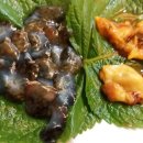 괴정농장 이미지