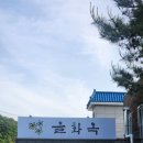 세종시냉면맛집 조치원 을화옥 숯불갈비와 조합은 말해뭐해