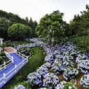 장생포로 이미지