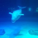 월드타워9 앞 사거리-1 이미지