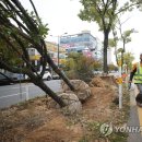 상무대로1-2 이미지