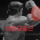 오차현