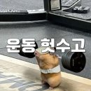 베르핏PT앤필라테스