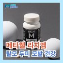 메타엠솔루션 | 메타웰 리치엠 모발 얇아짐 영양제 머리카락 굵어지는법 추천