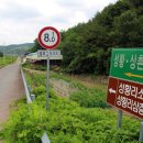 의령 성황리 소나무 티스토리