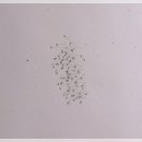 공해 경로당 이미지