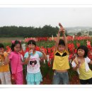 대기초등학교 이미지