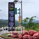 진천 포레스트 캠핑장 이미지