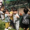 아인농장 이미지