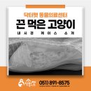선닥터동물병원 이미지