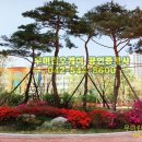 우미린A 이미지