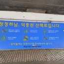 덕풍천 산책로 이미지
