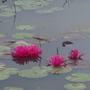 강진 죽사 고택 | 녹우당에 가면 ...