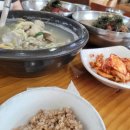 청정바지락생칼국수 이미지