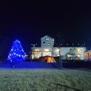 초리 포레스트 이미지