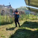 넝쿨 태양광발전소 이미지