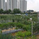 이천농장 이미지