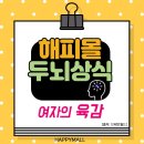해피몰 이미지