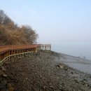 철새보러가는길 이미지