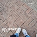 개포초등학교유치원 | [부동산 공부] 개포동 임장 후기 - 재건축 진행이 많은 개포동, 구축과 신축의 콜라보! 양재천뷰 아파트