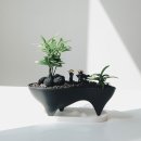 루트