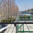 라이또PC 시흥 하중점 | 아무 판넬로는 안 되는 날씨가 옵니다 – 그래서 렉산골판입니다