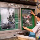 양천소방서 신월119안전센터 이미지