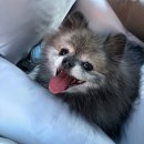 동광로24길 15-4 | 이색데이트하러 남양주 사우나 스파디움24 방문하고 당황했던 솔직 후기