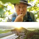 가자농장 이미지