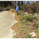 서부초등학교삼거리 이미지