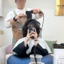 보하비 이미지