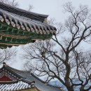 수덕사 진입로 이미지