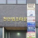 에스트니스화월