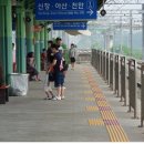 천안인애특수학교 이미지