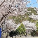 은하수 관광농원 이미지