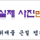 성포농장 이미지