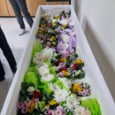 메리놀병원장례식장