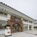 할리스 스포츠경향