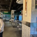 망고캣 | 동탄 분위기 좋은 양식 맛집 [매드캣] 내돈내산 후기