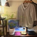 평화약방 이미지