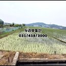 원뜰농장 이미지