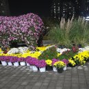 씨유 익산공단사거리점 | 25.11(1)